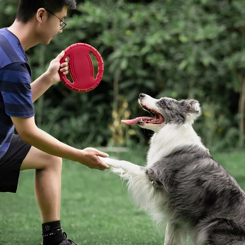 Duurzame Vliegende Schijf voor Honden | Ideaal voor Actieve Training en Speelsessies | Geschikt voor Alle Hondenmaten | Slijt- en Waterbestendig - Image 4