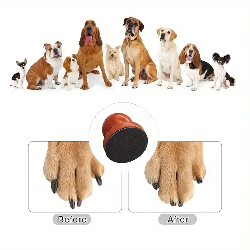 Houten Nagelvijlplank voor Honden | Natuurlijk en Stressvrij Klauwen Vilen | Inclusief Vervangbaar Schuurpapier | Ergonomisch en Compact - Image 4