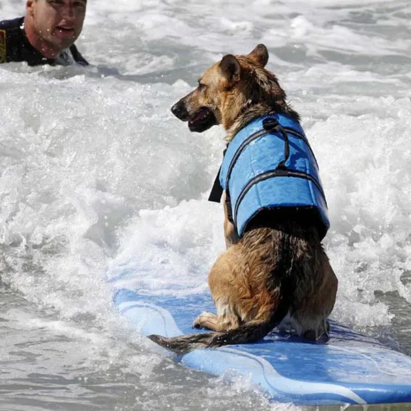 Honden Reddingsvest – Reflecterend Zwemvest voor Veilig Zwemmen - Image 2