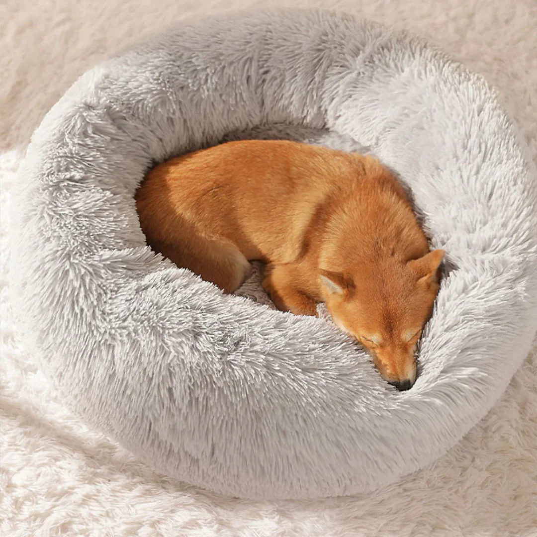 SnoozeBuddy™ | Luxe Hondenbed voor Rust | Donutvorm | Orthopedisch | Zacht Pluche | Stijlvol Design | Verwijderbare Wasbare Hoes | Geschikt voor Katten | Antraciet, Crème, Koffie, Lichtgrijs - Image 3
