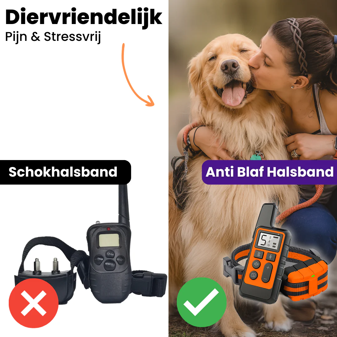 Hondengehoorzaamheid Trainer | Oplaadbare Antiblaf Halsband met Afstandsbediening - Image 5