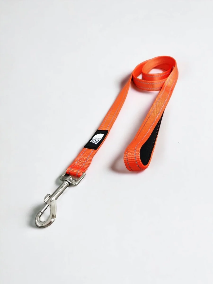 Reflecterende Hondenlijn | Verhoogde Zichtbaarheid | Oranje Nylon | The Dog Face | Comfortabel Handvat | 1,5m Lengte | Sterke en Duurzame Stiksels | Veilig Wandelen | Metalen Gesp