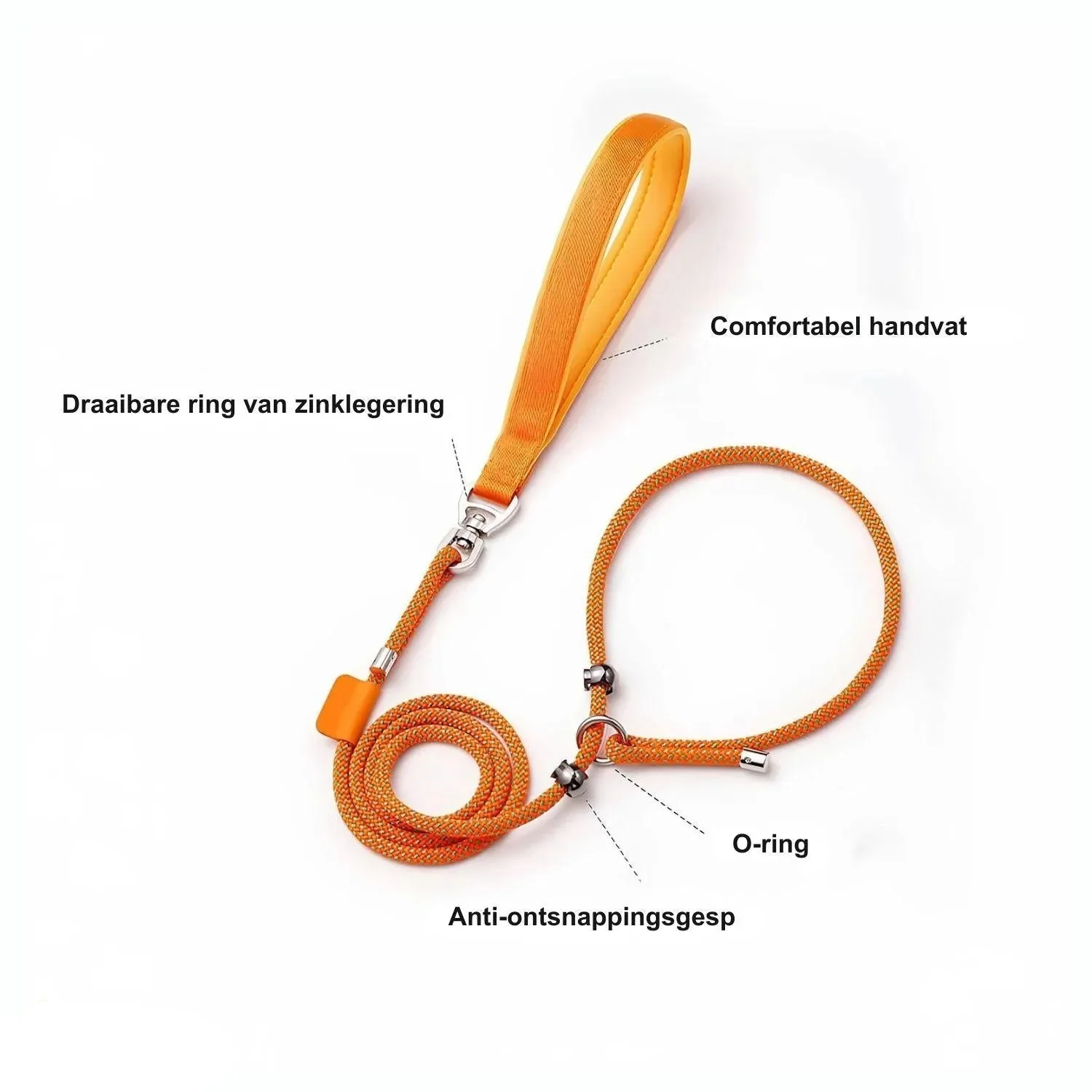 Hondenriem Zonder Trekken | Duurzame Slipkraag met Gevoerde Handgreep - Image 7