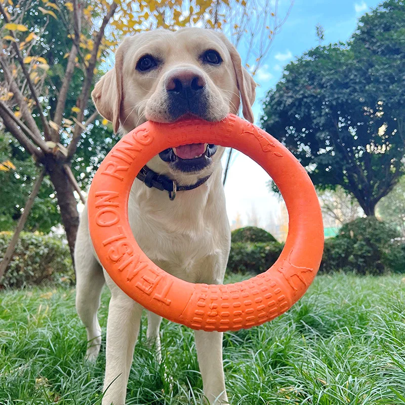 Interactieve Vliegende Schijf voor Honden | Duurzaam EVA-Materiaal, Flexibel & Bijtbestendig | Verschillende Kleuren & Maten - Image 7