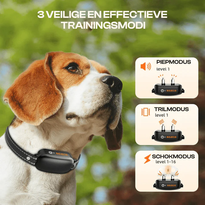 Hondentraining Halsband | Waterdicht IPX7 | 1000m Bereik | Geluid, Trilling, Schok | Draadloos | Honden 4-55kg - Image 3