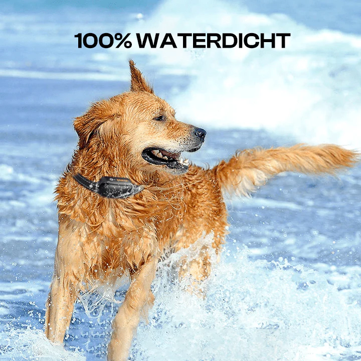 Hondentraining Halsband | Waterdicht IPX7 | 1000m Bereik | Geluid, Trilling, Schok | Draadloos | Honden 4-55kg - Image 5