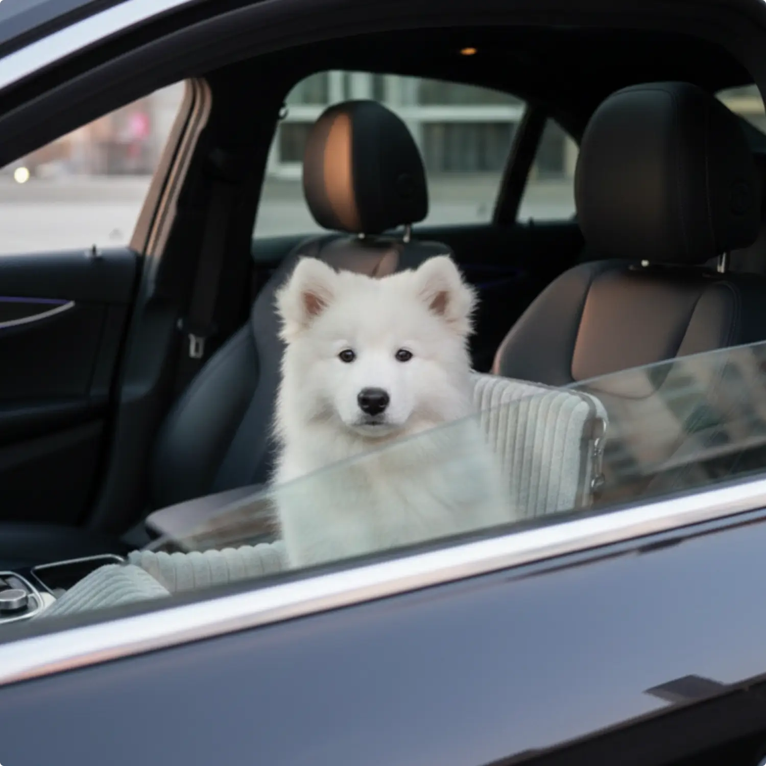MrFluffyFriend | Veilig Autozitje voor Honden | Comfortabel Rijden | Eenvoudige Installatie | Geschikt voor Kleine en Middelgrote Honden - Image 4