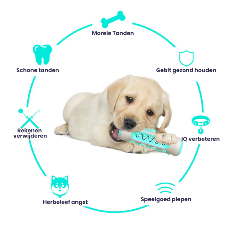 Kauwspeeltje voor Honden | Gebitsverzorging | Zacht Rubber | Limoen, Hemelsblauw, Geel | Verlicht Tandpijn bij Doorkomende Tandjes | Duurzaam en Veilig Speelgoed | 15CM - Image 3