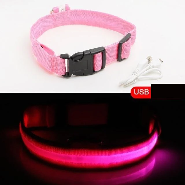 LED-halsband hond | Verhoogde zichtbaarheid in het donker | Meerdere en | Oplaadbaar | Duurzaam en waterbestendig | Geschikt voor alle hondenmaten - Image 10