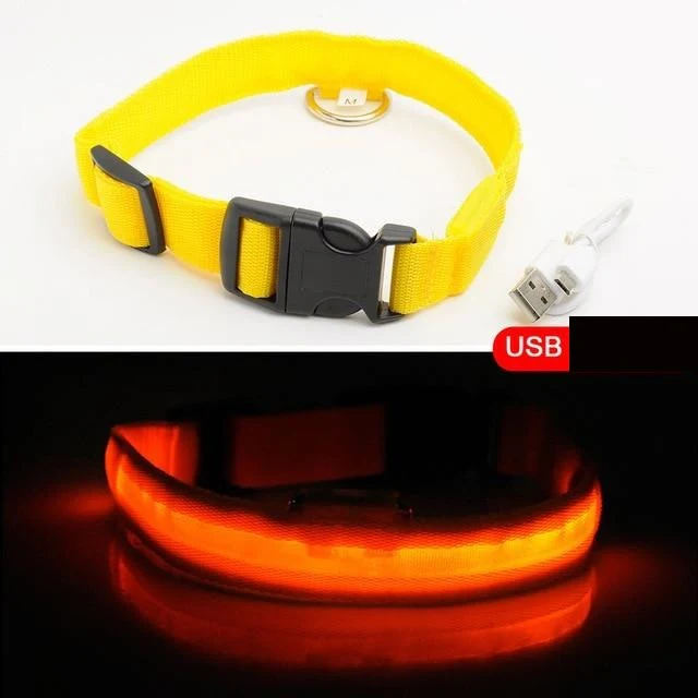 LED-halsband hond | Verhoogde zichtbaarheid in het donker | Meerdere en | Oplaadbaar | Duurzaam en waterbestendig | Geschikt voor alle hondenmaten - Image 11