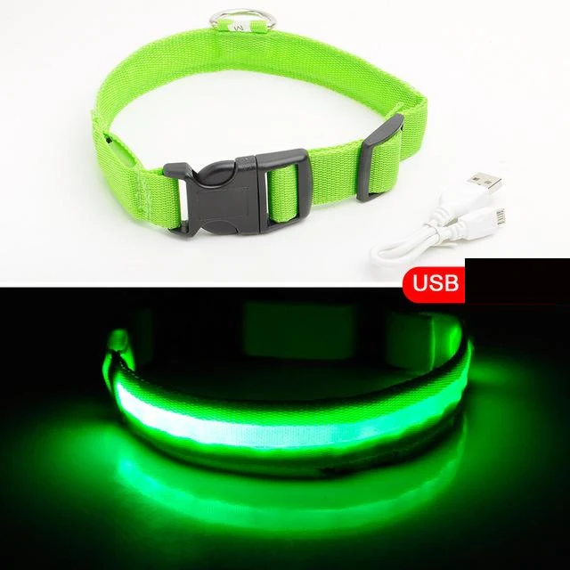 LED-halsband hond | Verhoogde zichtbaarheid in het donker | Meerdere en | Oplaadbaar | Duurzaam en waterbestendig | Geschikt voor alle hondenmaten - Image 12