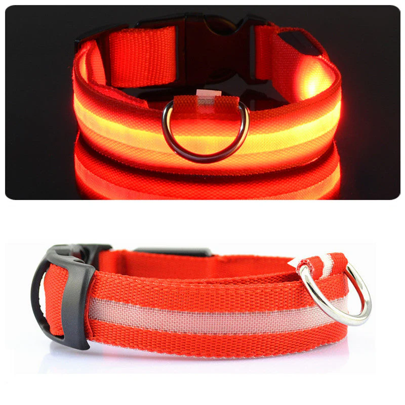 LED-halsband hond | Verhoogde zichtbaarheid in het donker | Meerdere en | Oplaadbaar | Duurzaam en waterbestendig | Geschikt voor alle hondenmaten - Image 13