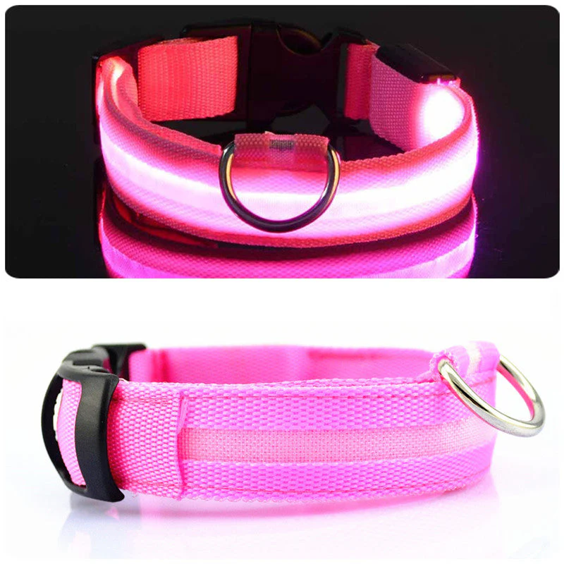 LED-halsband hond | Verhoogde zichtbaarheid in het donker | Meerdere en | Oplaadbaar | Duurzaam en waterbestendig | Geschikt voor alle hondenmaten - Image 15