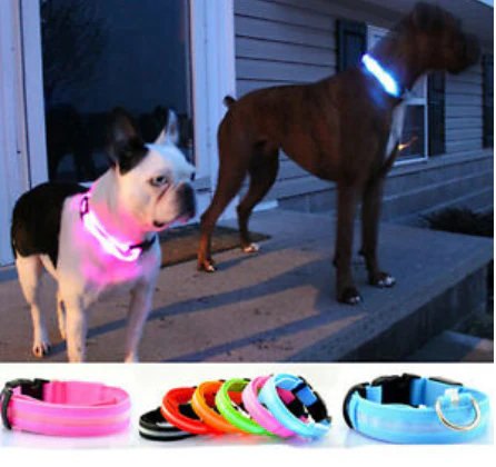 LED-halsband hond | Verhoogde zichtbaarheid in het donker | Meerdere en | Oplaadbaar | Duurzaam en waterbestendig | Geschikt voor alle hondenmaten - Image 7