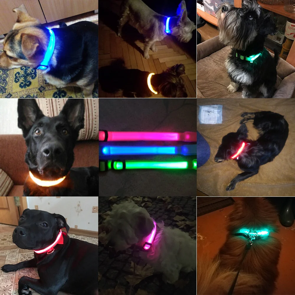 LED-halsband hond | Verhoogde zichtbaarheid in het donker | Meerdere en | Oplaadbaar | Duurzaam en waterbestendig | Geschikt voor alle hondenmaten - Image 8