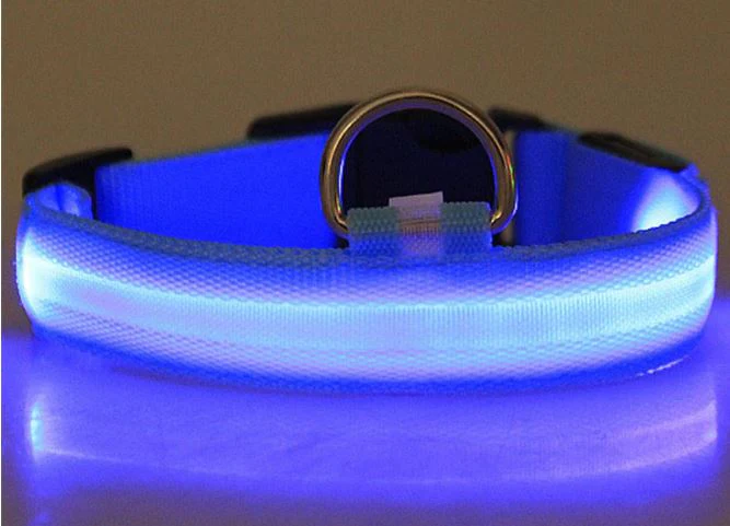 LED-halsband hond | Verhoogde zichtbaarheid in het donker | Meerdere en | Oplaadbaar | Duurzaam en waterbestendig | Geschikt voor alle hondenmaten - Image 9