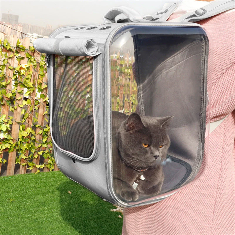 Huisdierdrager voor katten en kleine honden | Ademend en transparant ontwerp | Comfortabele en veilige vervoerstas met handgreep en schouderband - Image 5