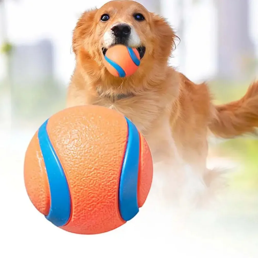 Onbreekbare Speelbal voor Honden | Veilig en Duurzaam | Geschikt voor Apporteren, Kauwen | Voor alle Grootte Honden | Makkelijk Schoon te Maken - Image 2