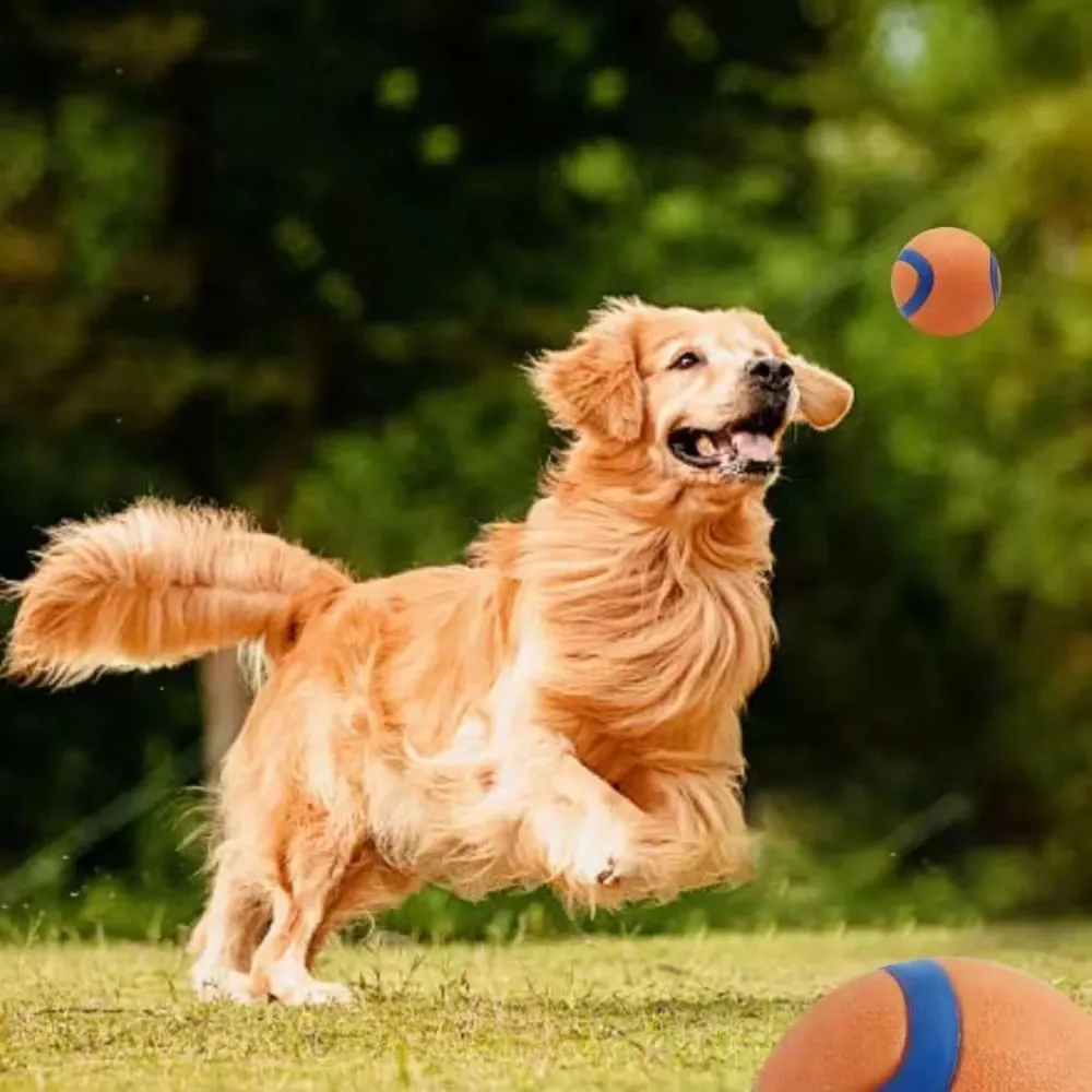 Onbreekbare Speelbal voor Honden | Veilig en Duurzaam | Geschikt voor Apporteren, Kauwen | Voor alle Grootte Honden | Makkelijk Schoon te Maken - Image 3
