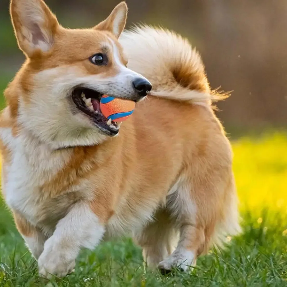 Onbreekbare Speelbal voor Honden | Veilig en Duurzaam | Geschikt voor Apporteren, Kauwen | Voor alle Grootte Honden | Makkelijk Schoon te Maken - Image 5