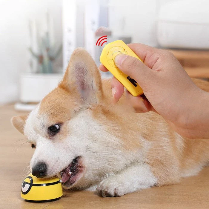 Innovatief Interactief Speelgoed voor Honden | Activeert Natuurlijke Jachtinstincten | Duurzaam en Draagbaar Design | Houdt Huisdieren Bezig | Vermindert Verveling | Compact Binnenhuisgebruik | Geel Kunststof | 7,5x5cm