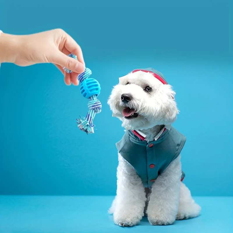 Interactief kauwspeelgoed hond | Sterk rubber met rijk touw | Bevordert tandgezondheid en actieve speeltijd | Geschikt voor alle honden | 18 cm - Image 10