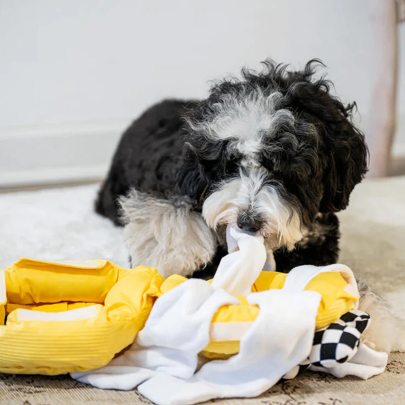 Interactieve Snuffelmat voor Honden | Duurzaam Polyester | Mentale Stimulatie voor Binnengebruik | Bevordert Neuswerktraining | Ideaal voor Regenachtige Dagen | 18 cm x 18 cm x 18 cm - Image 4