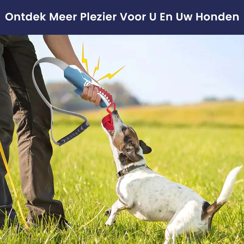 Interactief Speelgoed Voor Honden | Verschillende Dierenvormen | Duurzaam & Tandvriendelijk - Image 2