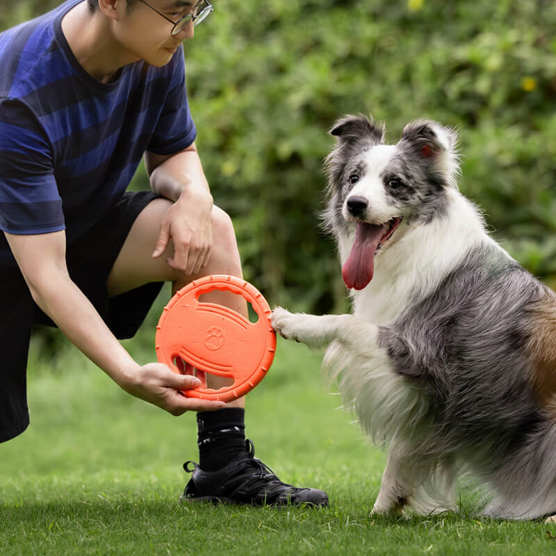 Duurzame Speel Frisbee | Rubber | Aerodynamisch Ontwerp | Zacht voor Tanden | Voor Apporteerspelletjes | Geschikt voor Binnen en Buiten - Image 2