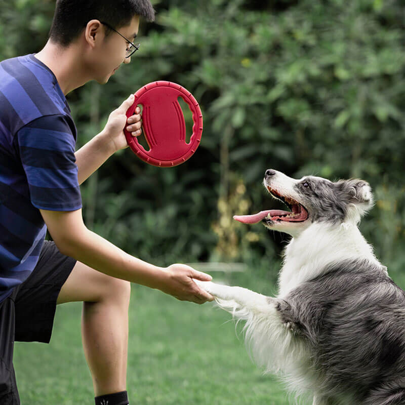 Duurzame Speel Frisbee | Rubber | Aerodynamisch Ontwerp | Zacht voor Tanden | Voor Apporteerspelletjes | Geschikt voor Binnen en Buiten - Image 4