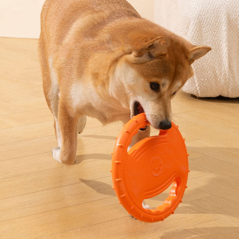 Duurzame Speel Frisbee | Rubber | Aerodynamisch Ontwerp | Zacht voor Tanden | Voor Apporteerspelletjes | Geschikt voor Binnen en Buiten - Image 6