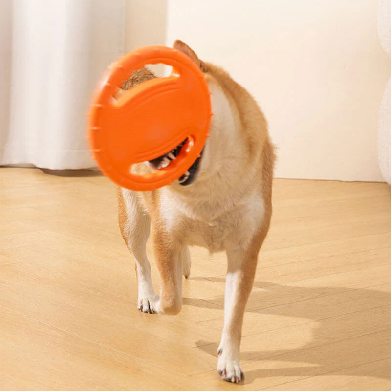 Duurzame Speel Frisbee | Rubber | Aerodynamisch Ontwerp | Zacht voor Tanden | Voor Apporteerspelletjes | Geschikt voor Binnen en Buiten - Image 7