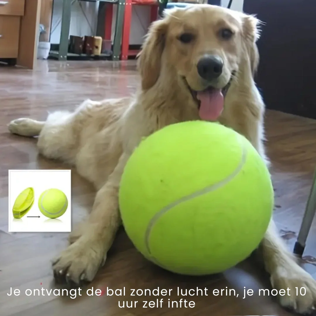 Grote Hondenbal | Interactief Speelplezier | Duurzaam Rubber | Mentale & Fysieke Stimulatie | Voor Binnen & Buiten | Binding met Huisdier - Image 2