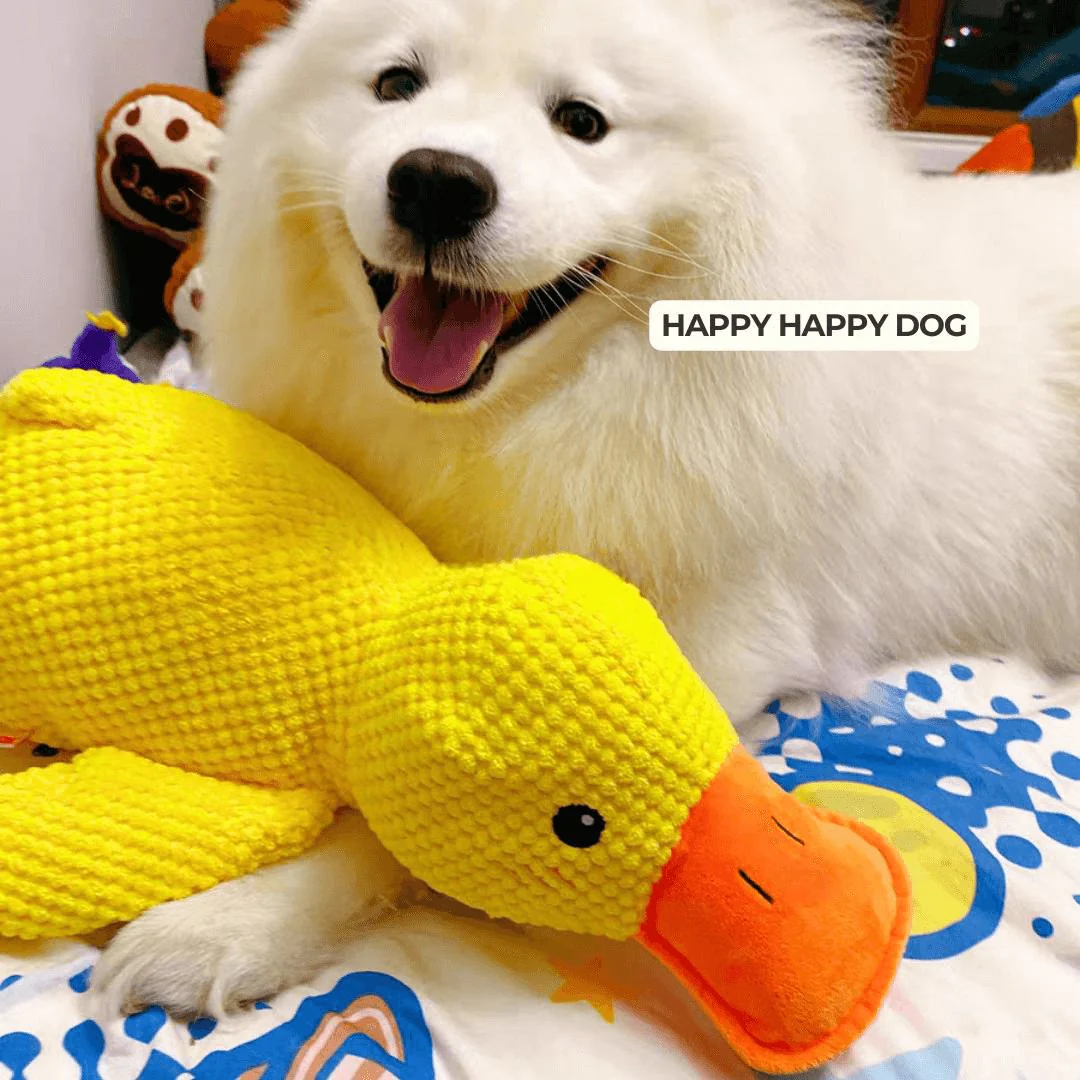 Kalmerend hondenspeelgoed eend | Zacht knuffelspeelgoed voor honden | Stressverlagend kauwspeelgoed | Duurzaam polyester | Voor angstige en gevoelige honden - Image 5