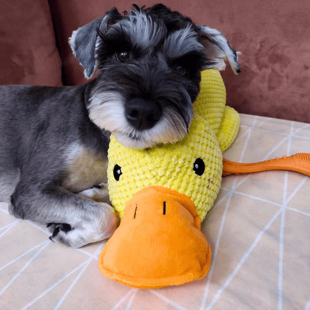 Kalmerend hondenspeelgoed eend | Zacht knuffelspeelgoed voor honden | Stressverlagend kauwspeelgoed | Duurzaam polyester | Voor angstige en gevoelige honden - Image 7