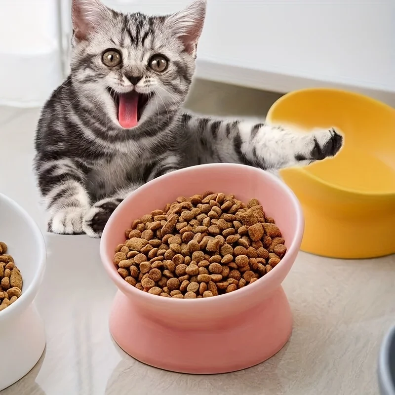 Keramische Voerbak met Verhoogd Oblique Ontwerp voor Honden en Katten | Beschermt Nek en Wervelkolom | Duurzaam en Stabiel - Image 4