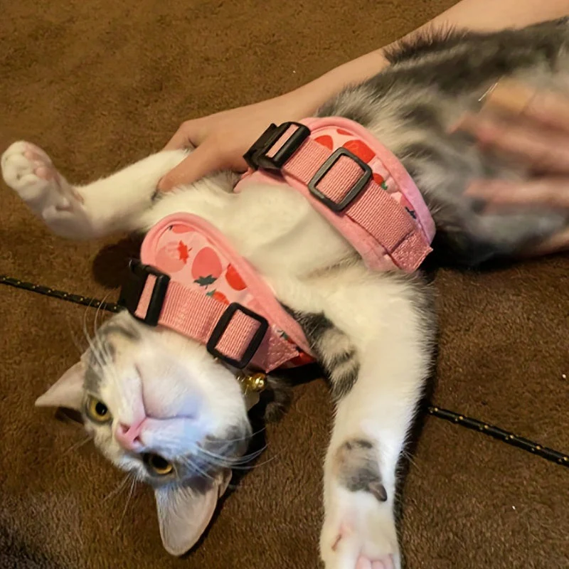KittyComfort Harnas Set voor Katten en Kleine Honden | Verstelbaar Zacht Harnas met Riem en Halsband | Comfortabel en Veilig - Image 14
