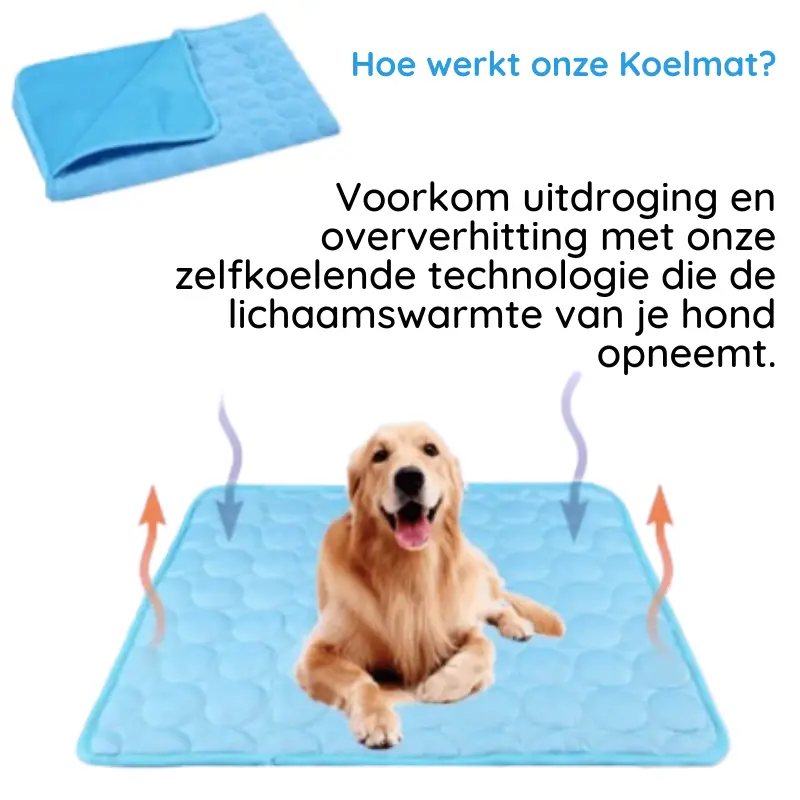 MrFluffyFriend | Premium Koelmat voor Honden | Verkoelende Zachte Mat | Draagbaar & Ademend | Veilig & Waterdicht | Machinewasbaar - Image 3