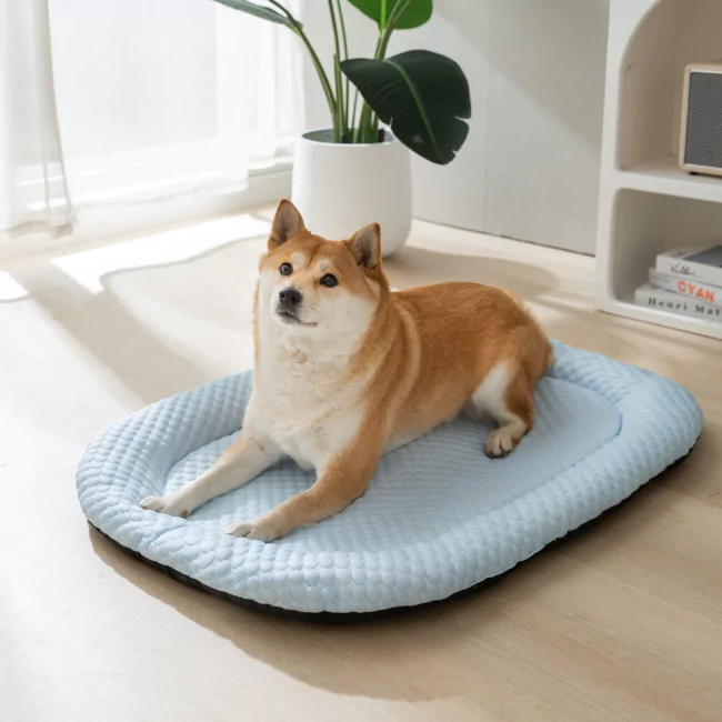 Verkoelende IJs-Zijde Mat voor Honden | Zacht en Comfortabel | Bescherming tegen Warmte | Gemaakt van 3D Vezels | Helpt Hoofd en Nek koel houden | Gemakkelijk in Gebruik | Geen Opladen Nodig