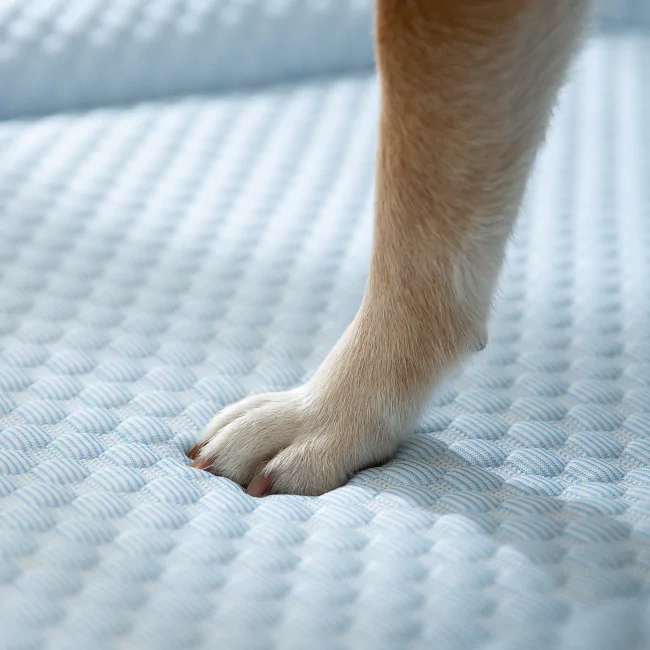 Verkoelende IJs-Zijde Mat voor Honden | Zacht en Comfortabel | Bescherming tegen Warmte | Gemaakt van 3D Vezels | Helpt Hoofd en Nek koel houden | Gemakkelijk in Gebruik | Geen Opladen Nodig - Image 7