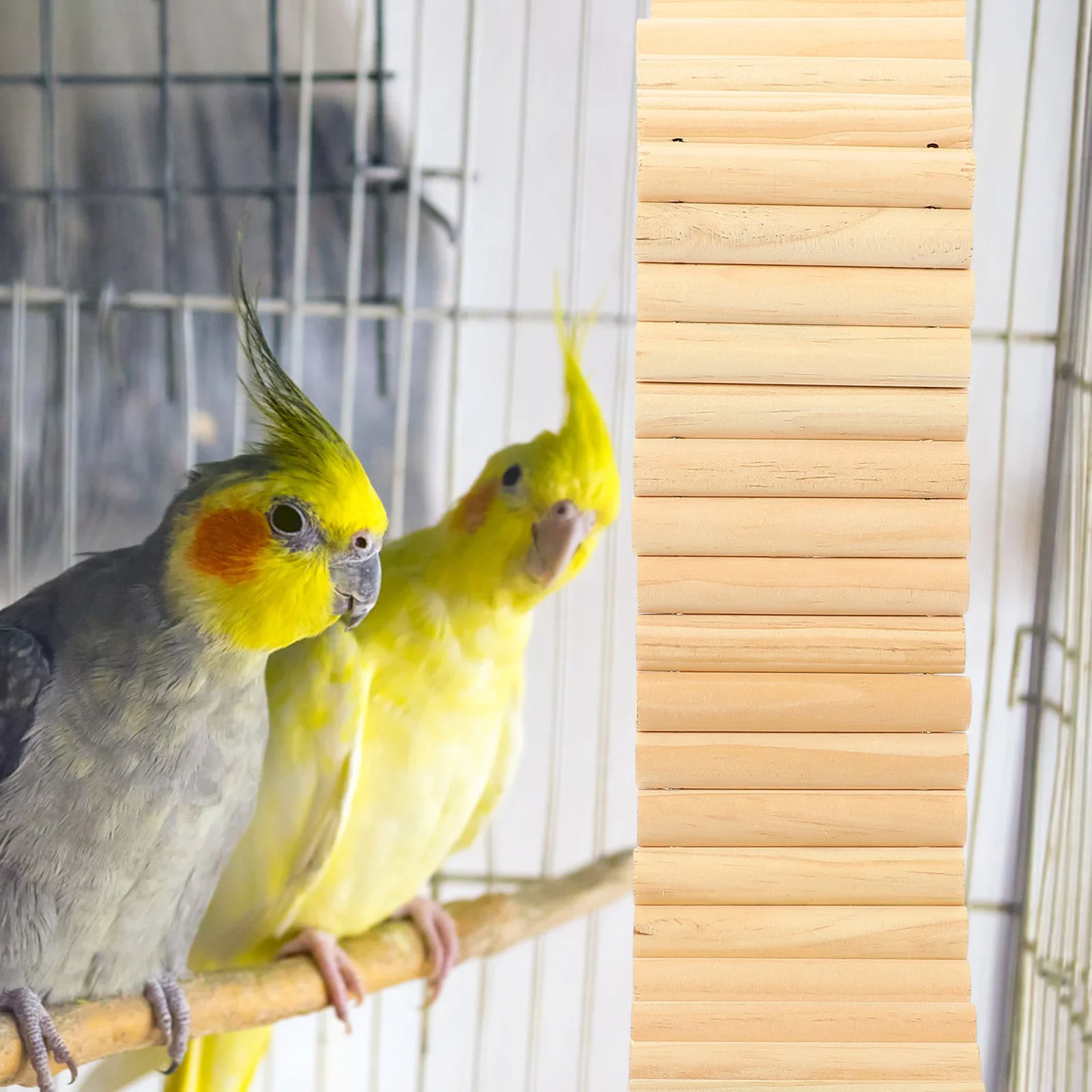 Houten Hamsterspeeltje Kooiladder | Klimladder voor Hamster en Cavia | Kleine Dieren Speelplaats | Bijtbestendig en Duurzaam | Reptielen Speelgoed | Perfecte Huisdieren Accessoires - Image 6