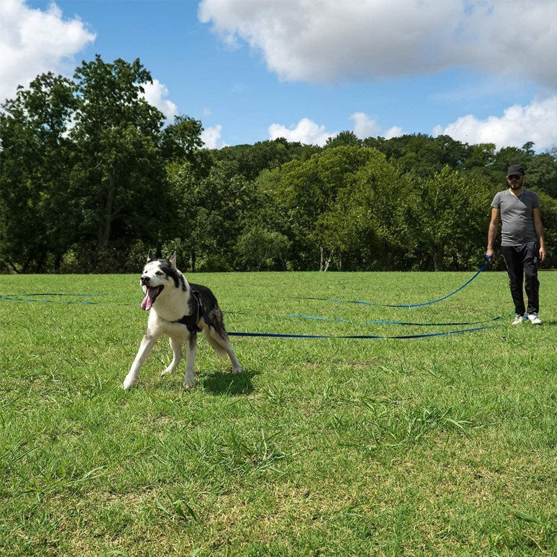 Lange nylon hondenriem voor training en wandelingen | Met stevige metalen karabijnhaak | Geschikt voor middelgrote en grote honden | Meerdere en en lengtes - Image 8