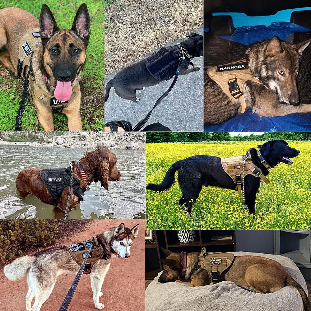 Tactische Hondentuig Set | Hondenharnas en Lijn | Afneembaar Gevoerd | Effen Nylon | Duitse Herder | Geschikt voor kleine honden - Image 6