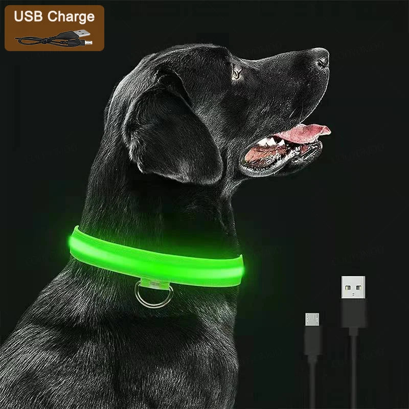 LED Verlichte Veiligheidshalsband voor Huisdieren | Oplaadbaar via USB, Waterbestendig, 3 Lichtmodi | Geschikt voor Honden en Katten - Image 2