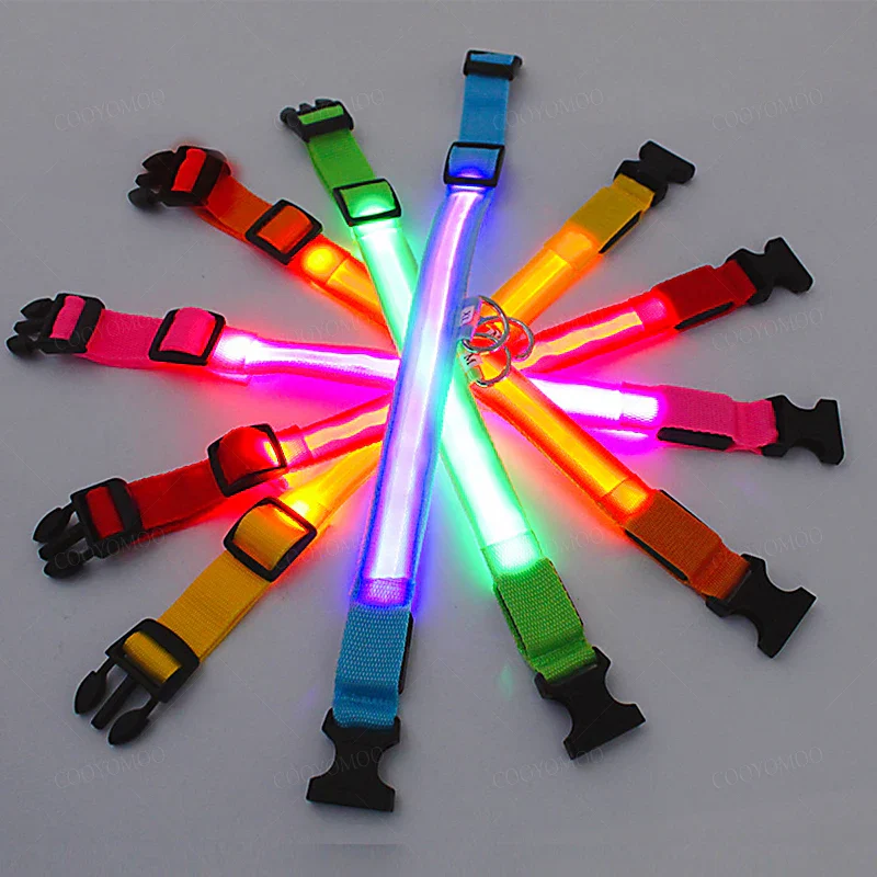 LED Verlichte Veiligheidshalsband voor Huisdieren | Oplaadbaar via USB, Waterbestendig, 3 Lichtmodi | Geschikt voor Honden en Katten - Image 3