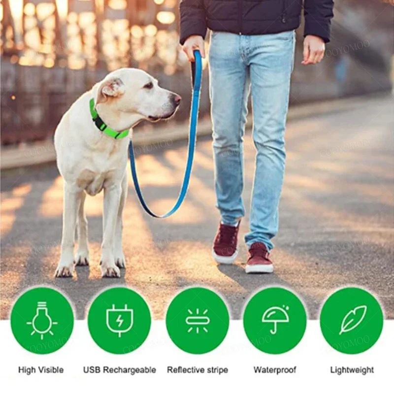 LED Verlichte Veiligheidshalsband voor Huisdieren | Oplaadbaar via USB, Waterbestendig, 3 Lichtmodi | Geschikt voor Honden en Katten - Image 4