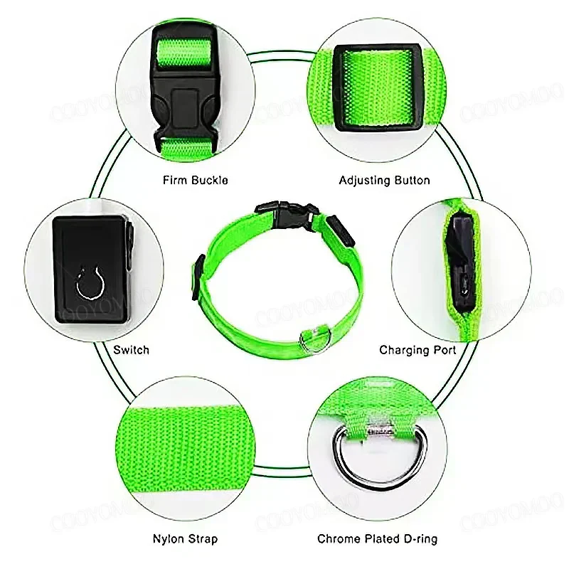 LED Verlichte Veiligheidshalsband voor Huisdieren | Oplaadbaar via USB, Waterbestendig, 3 Lichtmodi | Geschikt voor Honden en Katten - Image 6