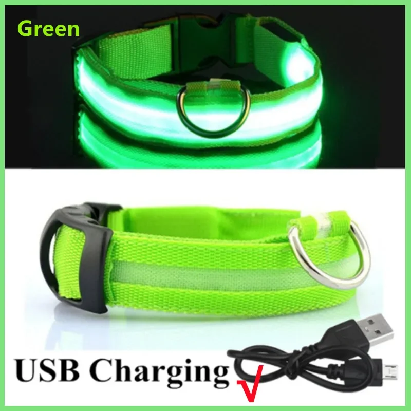 LED Verlichte Veiligheidshalsband voor Huisdieren | Oplaadbaar via USB, Waterbestendig, 3 Lichtmodi | Geschikt voor Honden en Katten - Image 7