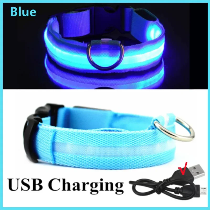 LED Verlichte Veiligheidshalsband voor Huisdieren | Oplaadbaar via USB, Waterbestendig, 3 Lichtmodi | Geschikt voor Honden en Katten - Image 8