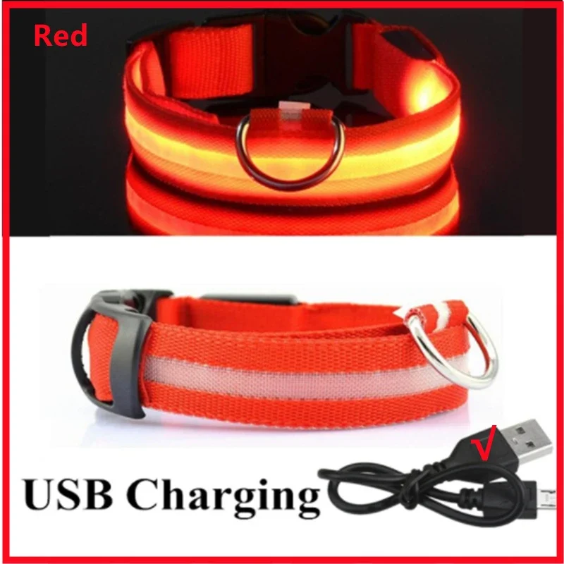 LED Verlichte Veiligheidshalsband voor Huisdieren | Oplaadbaar via USB, Waterbestendig, 3 Lichtmodi | Geschikt voor Honden en Katten - Image 9